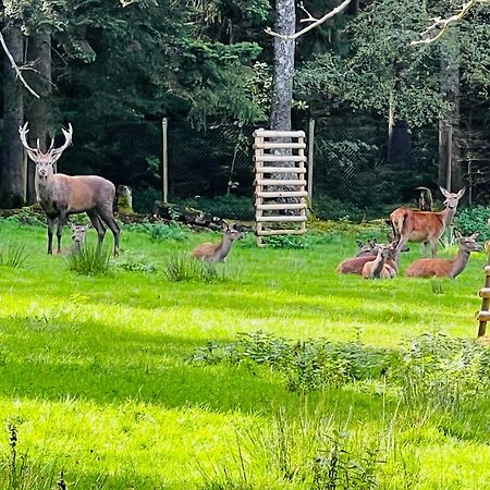 Ferienwohnung Schwarzwald Lodge Schomberg Bagian luar foto